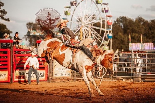 Grizzlies Rodeo